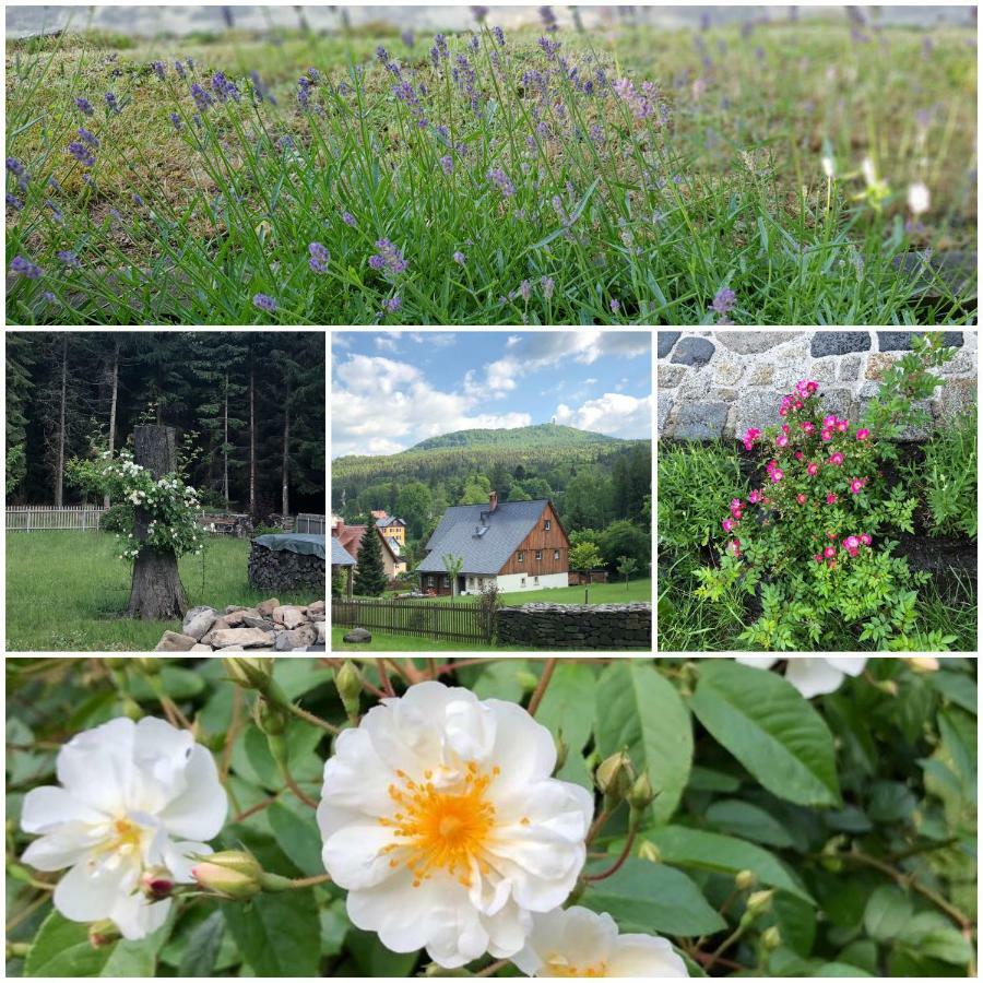 Vila Am Waldessaum Kurort Oybin Exteriér fotografie